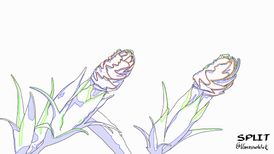 Entre as estrelas [Split Estúdio]